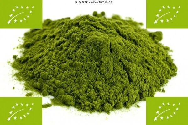 500g BIO Gerstengras-Pulver, 100% rein, deutscher Anbau - Bild 1 von 1