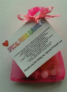SPECIAL FRIEND Survival Kit Birthday Keepsake Gift Present Christmas Fun  - Picture 1 of 1