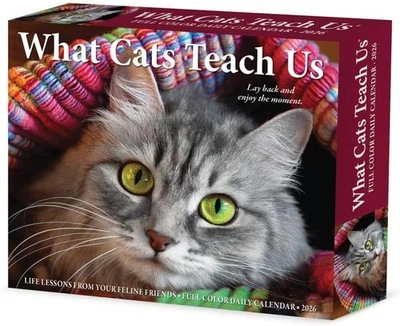 What Cats Teach Us 2026 5.4" x 6.2" Box Calendar 2026  - Image 1 of 4