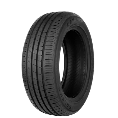 CHENG SHIN Sommerreifen 235/45 R 18 XL TL 98W SALEKS E.X1 (EVc) MFS FIT BSW - Bild 1 von 3