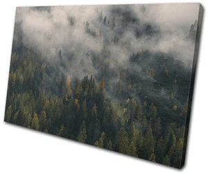 Forest Mist Nature Landscapes SINGLE CANVAS WALL ART Picture Print - Picture 1 of 1