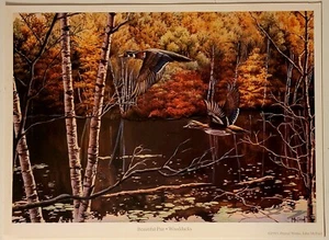 Duck Art, Sporting Art, Wood Ducks, Signed print, open-edition, wildlife Art - Picture 1 of 8