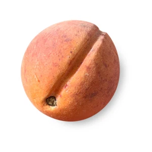 Scultura Albicocca Frutta Marmo Dipinta a Mano Hand Painted Marble Apricot Fruit - Picture 1 of 2