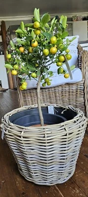 van der Leeden drypot® Rattan Sylter Blumentopf Pflanzentopf Blumenkübel 43x33cm - Bild 1 von 2