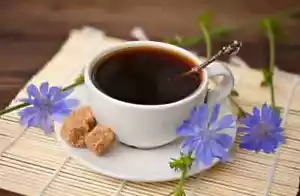 Chicory Instant With rosehip and sea buckthorn extract 100g/3.5 oz Caffeine Free - Picture 1 of 2