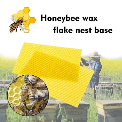 10/30PCS Natural Apis Sheets Bee Frames Honeybee Wax Flake Nest Beekeeping Tool - Image 1 of 4