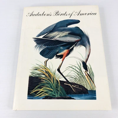 Audubon's Birds of America 505 Illustrations Text by George Dock Jr Vintage 1979 - image 1 of 4