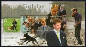 FALKLANDINSELN POSTFRISCH 2000 SG880 18. Geburtstag von Prinz William Minisheet - Bild 1 von 1
