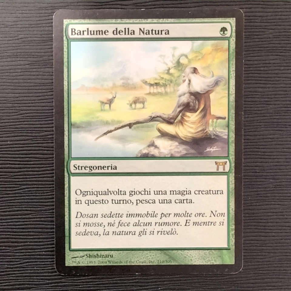 Glimpse of Nature MP #210 Champions of Kamigawa  CHK Portuguese Regular MTG - Image 1 of 2