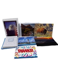 Greeting Cards Blank Thank You Nature Boys Colorful & Envelopes Various NEW 16 - Picture 1 of 8