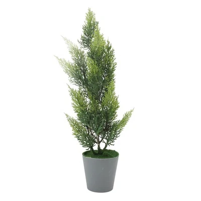 ⊹Lighted Cypress Tree Decor USB Powered LED Mini Light Up Table Centerpiece - Image 1 of 4