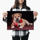 A3| Headphone Puppy Dog Listen Music - Size A3 Poster Print Photo Art Gift #3342
