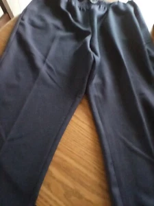 NWT - Karen Scott Navy Comfort Waist Classic Pants - 1X Short - Picture 1 of 3