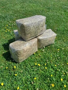 # Meadow Hay High Quality Dried Grass Small Animal Bedding And Feed # - Picture 1 of 7