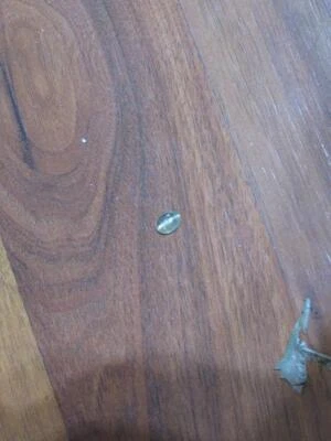 2.78 克拉双 PHENOMENA 无涂层土耳其颜色变化猫眼压印CABOCHON — 第 1/4 张图片