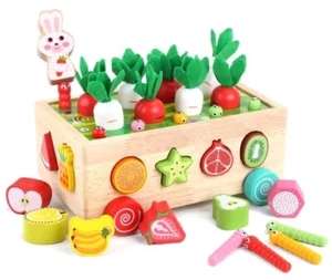 Montessori Toys For 3+ Year, Wooden Shape Sorter Toy, Fruit & Carrot Harvest - Picture 1 of 1
