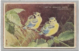 BIRDS NOT ON SPEAKING TERMS, YOUNG TITS COMIC POSTCARD - Picture 1 of 2