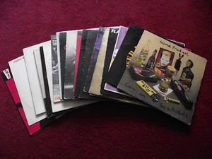 Collection Lot 20 x PUNK/POST-PUNK LP's & 12"s. ALL GRADED, SEE PICS. - Imagen 1 de 8