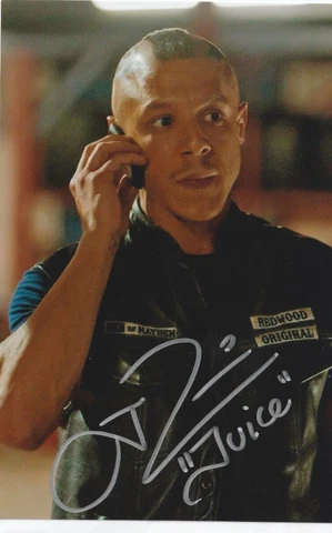 Theo Rossi Signed Autograph 4x6 JUICE SONS OF ANARCHY SHADES LUKE CAGE Cover