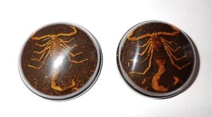 Insect Cabochon Golden Scorpion Round 38.5 mm on Dark Purple Sand 2 pieces Lot - Picture 1 of 20