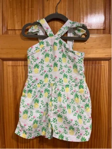 Little Girls Janie and Jack Pineapple Ruffle Sleeve Romper Size 3 - Picture 1 of 3