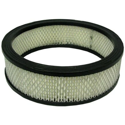 Filtro de aire Ecogard XA3195 Foto 1 de 4