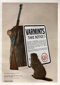 1963 Colt Autoloader Rifle "Varmints Take Notice" Original Color Ad - Picture 1 of 1