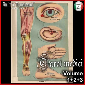 anatomia vintage libro medicina antica tarocchi mazzi di carte rari collezione - Picture 1 of 12