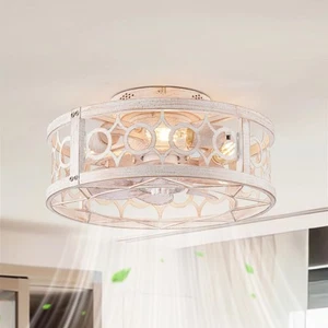 Caged Ceiling Fan with Light and Remote, 16in Small Low Profile Ceiling Fans ... - Picture 1 of 7