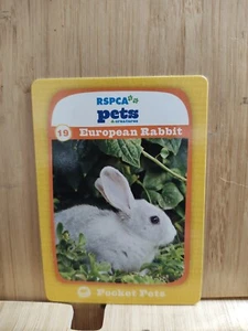 RSPCA Pets ๐ #19 EUROPEAN RABBIT Trading Card ๐FREE POST - Picture 1 of 1
