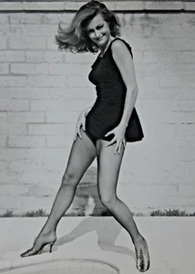 Vintage Pretty Groovy Model Photo Mini Skirt Fishnet Stockings Tiger Shoes 1960s - Picture 1 of 5