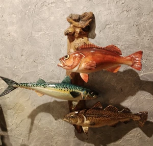 sea bass. cod. mackerel. Cut and painted manually - Picture 1 of 7
