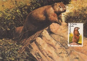 Woodchuck Fauna World Wildlife Canada USA Art Mint Maryland Maxi Card FDC 1987 - Picture 1 of 2