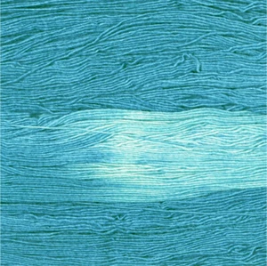 Manos Del Uruguay ::Fino #433:: extrafine merino silk yarn Folly - Picture 1 of 10