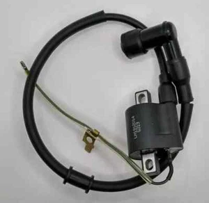RPS Hawk 250 Carb Ignition Coil (#6 in diagram) - Picture 1 of 3