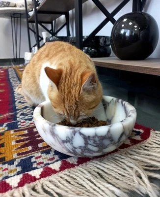 Роскошная мраморная миска для домашних животных Calacatta Viola 8 дюймов | блюдо с кормом и водой для собак кошек ручной работы - Изображение 1 из 4