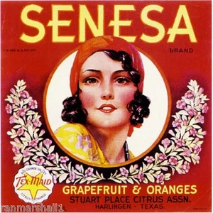 Harlingen Texas Rio Grande Senesa Orange Citrus Fruit Crate Label Art Print - Imagen 1 de 1