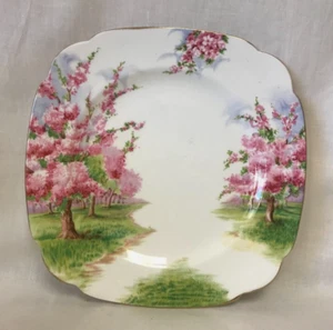 ROYAL ALBERT CHINA BLOSSOM TIME ROSA QUADRATO PIATTO PANE E BURRO RICAMBIO - Foto 1 di 3