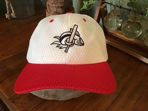 New FLORIDA BARRACUDAS Baseball Softball Hat Cap, RED & WHITE - Picture 1 of 5