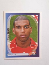 #209 Ryan Babel Liverpool FC - 2007/08 Champions League Panini