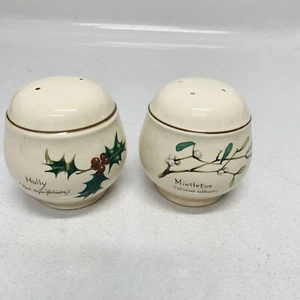 Noritake Urlaub Salz Pfefferstreuer Stechpalme Mistelzweig Land Tagebuch Irland Dekor - Bild 1 von 9