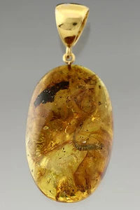 BRISTLETAIL & SPIDER Inclusions BALTIC AMBER Gold Plated Pendant 10.2g p160818-5 - Picture 1 of 6