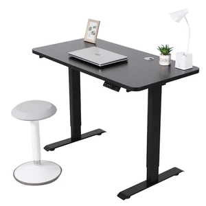46" x 24" Electric Standing Desk Dual Motor Height Adjustable Frame w/Tabletop - Picture 1 of 26