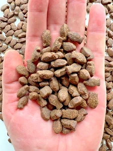 Bio Fischform Hundebehandlung Isländische Lachs- und Forellenbehandlung 100% natürlich 500g - Bild 1 von 8