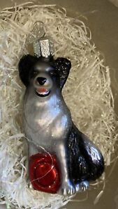 Old World Christmas Hand Painted Blown Glass Ornament BORDER COLLIE Dog 12303