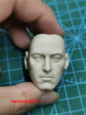 1:6 Lucius Malfoy Jason Isaacs Cabeza Esculpida Tallada F 12" Masculino Figura de Acción Cuerpo Foto 1 de 4