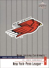 2002 UD Minor League #276 New Jersey Cardinals TM