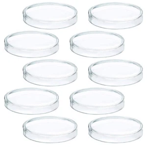 10 Count Mushroom Growing Petri Dish Agar Plates with Lids - Picture 1 of 12