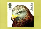 BIRDS OF PREY, Red Kite (Milvus milvus), original Royal Mail Postcard