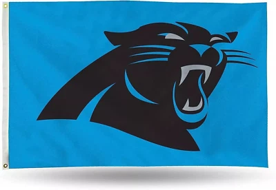 Carolina Panthers Puerta Trasera Bandera 3x5 NFL Deluxe NFL Todo Pro Banner NUEVO Hombre Cueva Foto 1 de 2